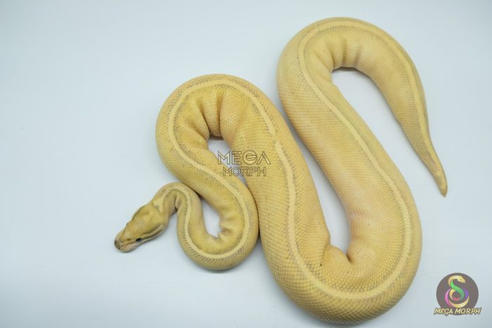 4307-2-1.jpg 4307 0.1 LESSER FIRE FREEWAY - Image 2