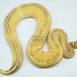 4317 0.1 ENCHI GHI FREEWAY