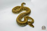 4766 1.0 PINSTRIPE CRYPTON OR CRYPTIC - Image 2