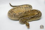 5084 0.1 SUPER GRAVEL - Image 2