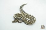 6144 0.1 MOJAVE FIRE HET CLOWN OR CRYPTIC
