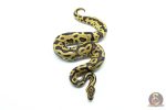 6294 1.0 LEO ENCHI FIRE H.CLOWN - Image 3