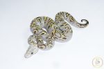 6674 0.1 GHI MOJAVE PASTEL CLOWN