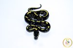 6737 0.1 LEOPARD BLACKHEAD GHI MOJAVE - Image 3