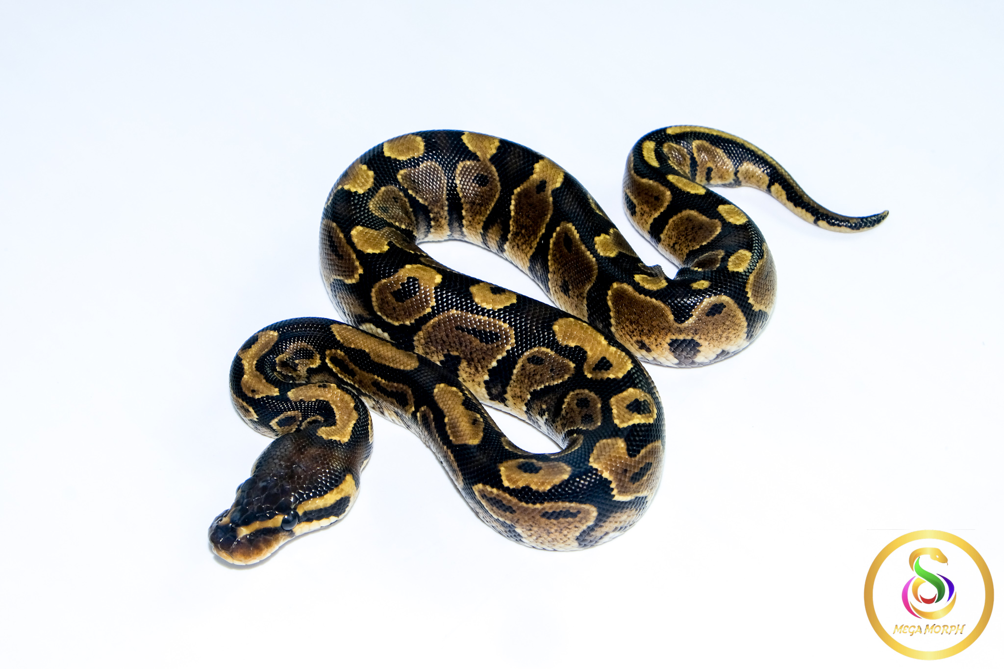 6659 0.1 GRAVEL - Image 1