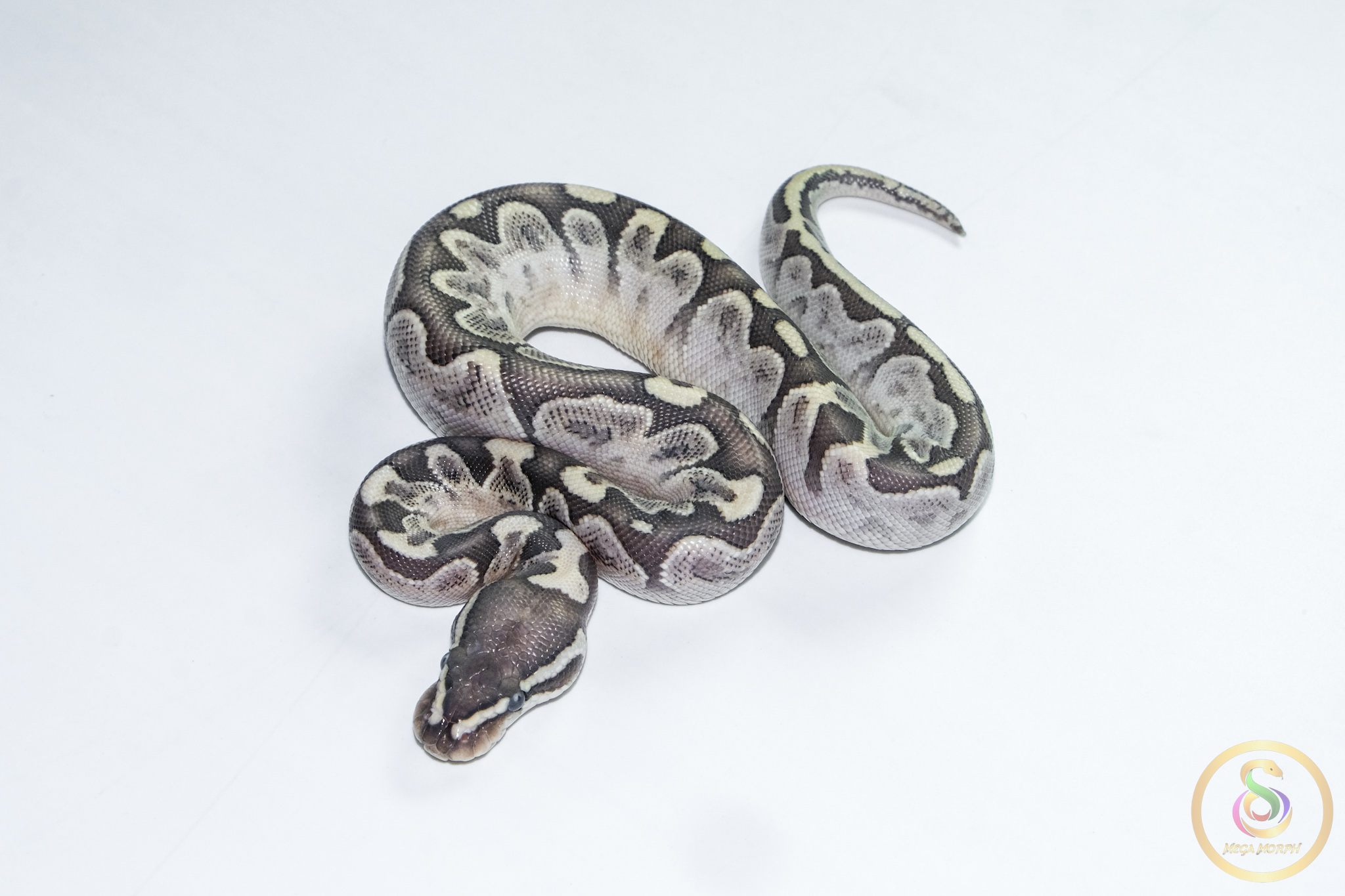 6691 0.1 BAMBOO GRAVEL - Image 1